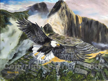 eagel-high-above-machu-picchu-by-patricia-roth- from 10 Limited
