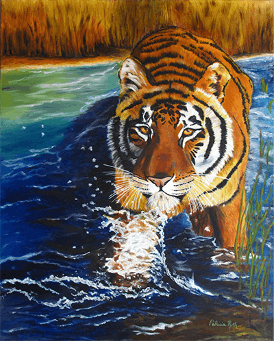 Tiger in water - Patricia roth artist