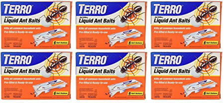 Get the roaches out of the house NOW! with 10 Limited